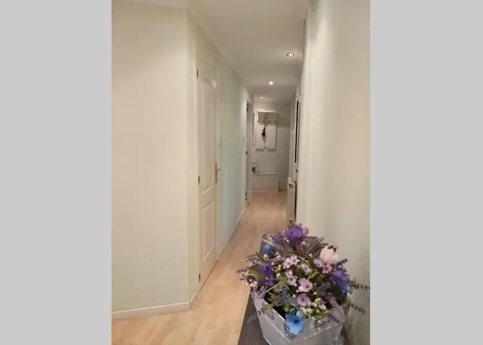 Piso En Avenida Pumarin . Wifi